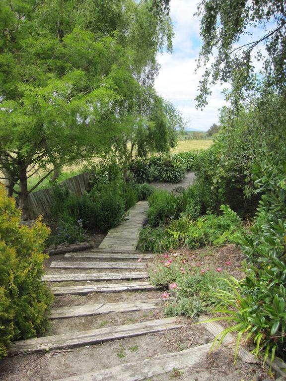 مبيت وإفطار Halcombe Thyme Out Estate المظهر الخارجي الصورة